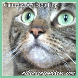 Heidi’s Caturday 4-26-2025