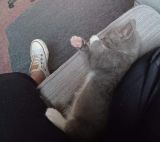 Heidi’s- My tribute&nbsp;4-26-2025