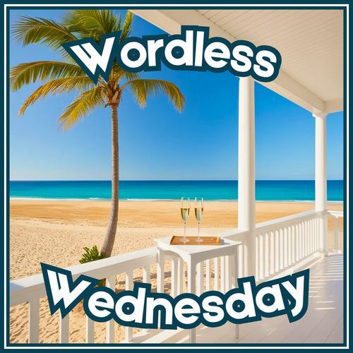 WORDLESS WEDNESDAY