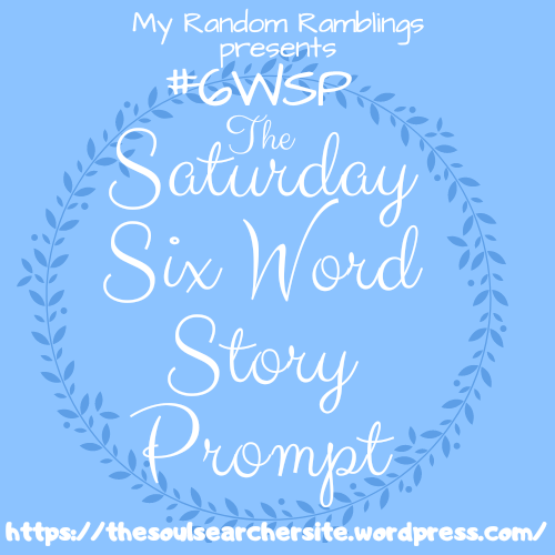 Saturday Six Word Story&nbsp;Prompt