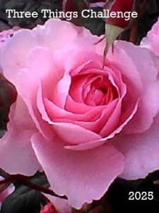 Sit Down and Write&nbsp;Saturday