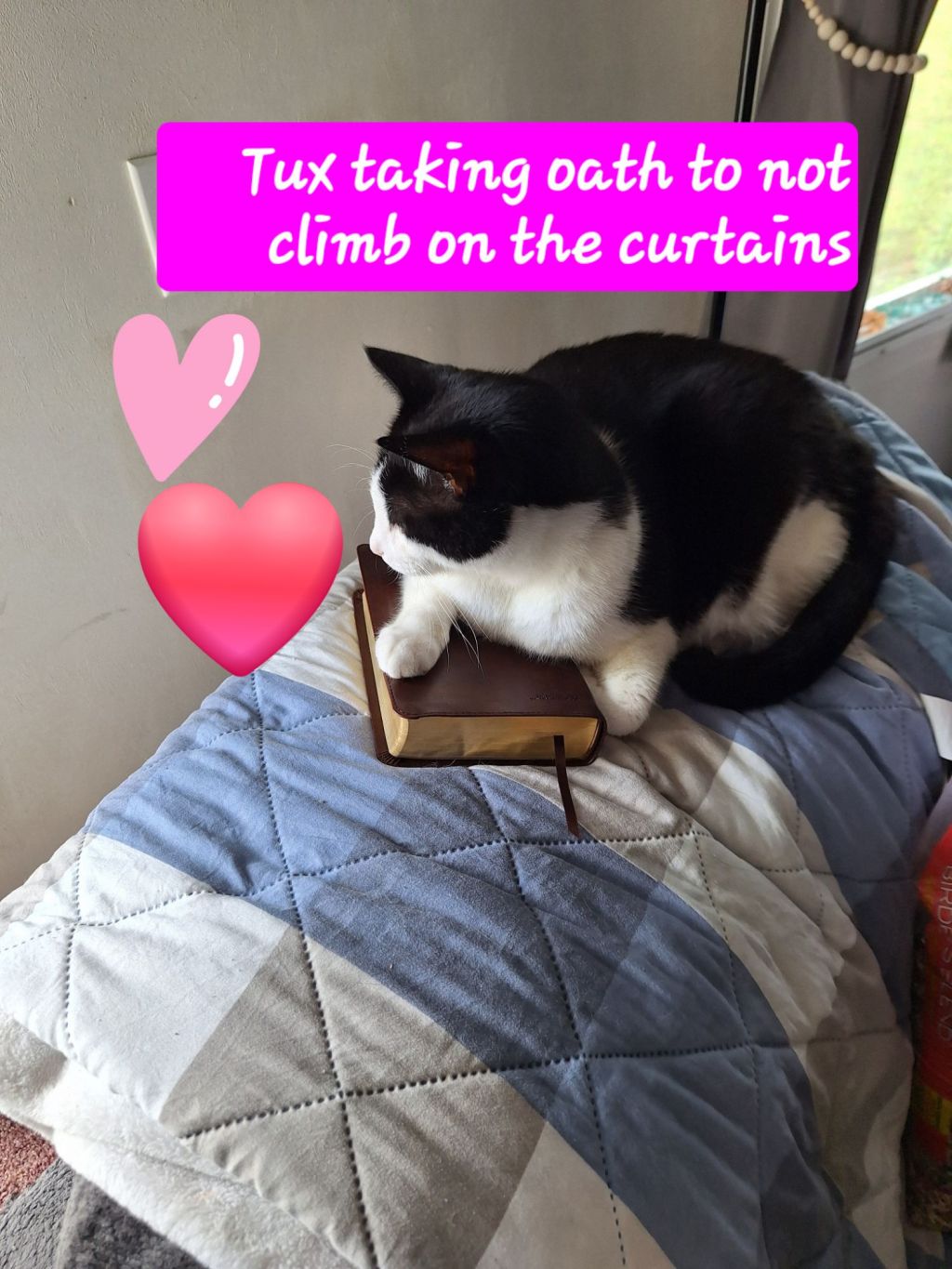 WORD PRESS DAILY PROMPT FOR&nbsp;11-13-2025